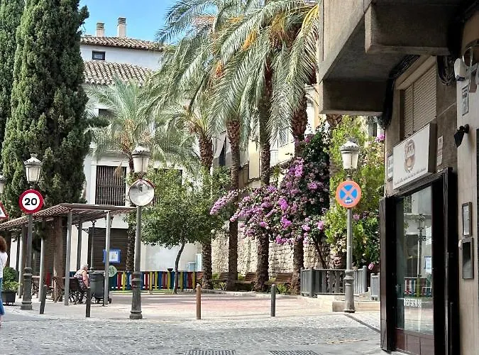 Apartamentos La Catedral De Jaen